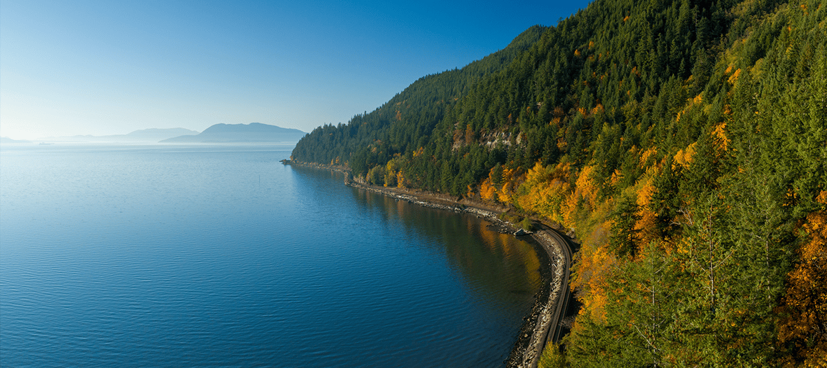 Landscape with trees by the water for the locations page to find where clinics are located.